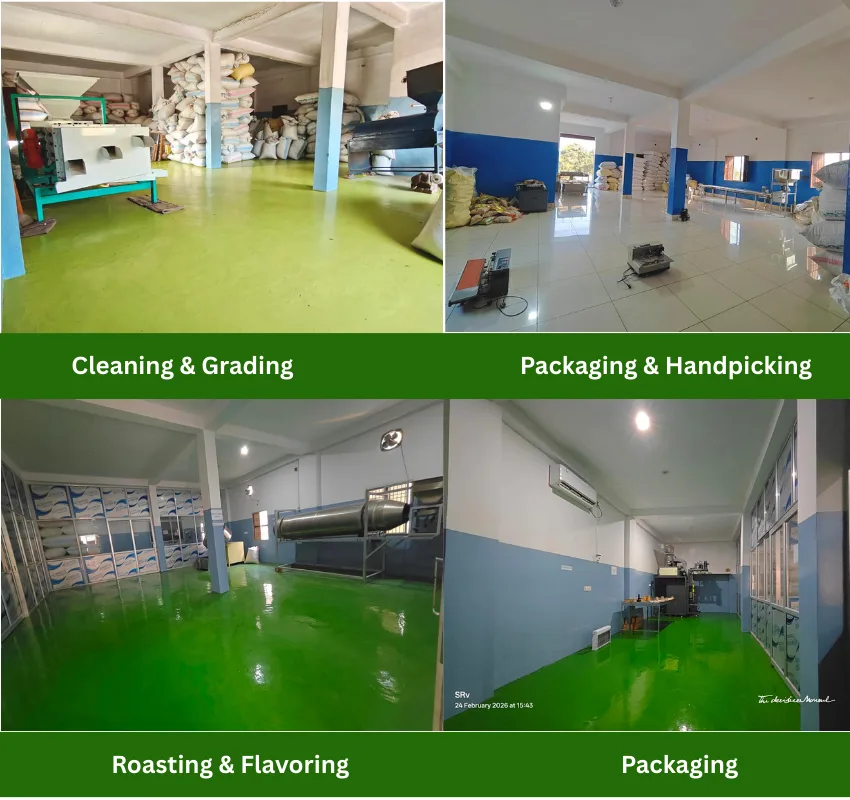 Moso International - Factory View
